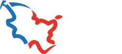 logo_lfv